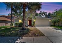 View 10490 Lucaya Dr Tampa FL