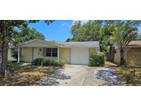 View 7501 Betula Dr New Port Richey FL