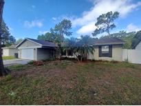 View 15120 Trail Creek Pl Tampa FL