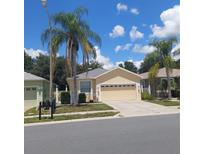 One-story house with a two-car garage and palm trees at 8049 Sanguinelli Rd, Land O Lakes, FL 34637