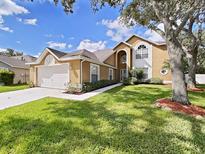 View 8502 Goldfinch Ct Tampa FL