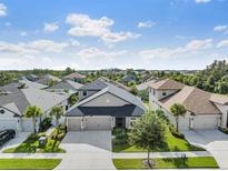 View 33243 Chasewood Cir Wesley Chapel FL