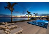 Luxury waterfront home with private pool and spa at sunset at 96 Martinique Ave, Tampa, FL 33606