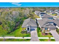 View 12273 Shining Willow St Riverview FL