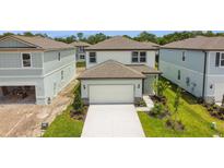 View 10016 Plum River Dr Parrish FL