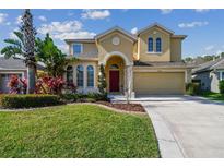 View 2734 Silvermoss Dr Wesley Chapel FL