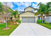 View 7414 Clary Sage Ave Tampa FL