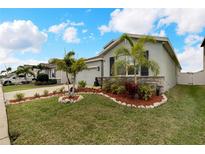 Landscaped front yard with palm trees, decorative rock, and manicured lawn at 582 8Th Nw St, Ruskin, FL 33570