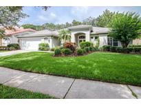 View 17818 Eagle Trace St Tampa FL