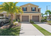 View 10707 Moonlight Mile Way Riverview FL