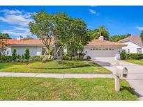 View 9115 Canberley Dr Tampa FL