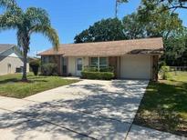 View 7930 Griswold Loop New Port Richey FL