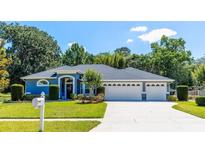 View 9917 Country Carriage Cir Riverview FL