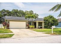 View 12927 Prestwick Dr Riverview FL