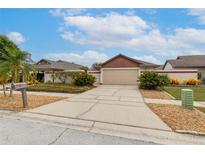 View 6927 Silvermill Dr Tampa FL