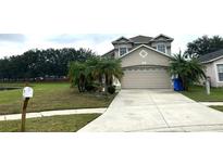 View 9127 Egret Cove Cir Riverview FL