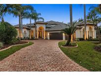 View 17920 Cachet Isle Dr Tampa FL