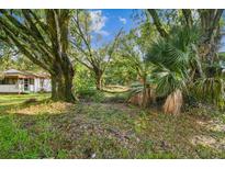 Wooded lot with mature trees, ready to build your dream home at 7207 Westinghouse Ave, Tampa, FL 33619