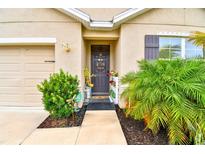 Welcoming front entry with landscaping and a dark brown door at 10031 Geese Trail Cir, Sun City Center, FL 33573