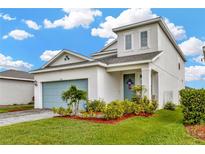 View 11812 Brighton Knoll Loop Riverview FL