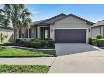 House exterior view, showcasing front yard and driveway at 16321 Treasure Point Dr, Wimauma, FL 33598