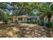 Ranch style home with mature landscaping and large shade trees at 16637 Livingston Ave, Lutz, FL 33559