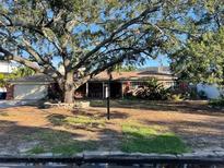 Ranch style home with large tree and spacious yard at 5002 W Poe Ave, Tampa, FL 33629