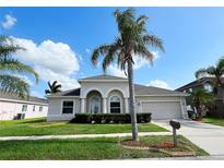 House exterior with palm trees and a landscaped front yard at 12009 Pennfield Pl, Riverview, FL 33579