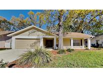 Inviting single-story home featuring a well-maintained yard and an attached two-car garage at 2607 Royal Ridge Dr, Spring Hill, FL 34606