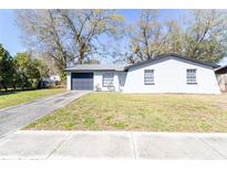 Charming single-story home features a well-maintained front yard and attached garage at 3432 Danny Bryan Blvd, Tampa, FL 33619