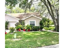 Charming single-story home featuring lush landscaping, mature trees, and a well-maintained lawn at 35226 Janine Dr, Zephyrhills, FL 33541