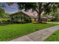 Beautiful home exterior, featuring a landscaped lawn and large tree at 4302 Deepwater Ln, Tampa, FL 33615