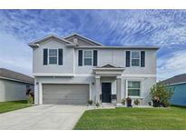 Two-story house with gray siding, gray garage door, and landscaping at 17206 White Mangrove Dr, Wimauma, FL 33598