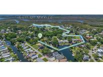 Stunning aerial view of waterfront homes and lush surroundings, near Gulf of Mexico, highlighting the community's unique location at 5369 Tuscawilla Dr, Weeki Wachee, FL 34607