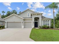 Two-story house with three-car garage and landscaping at 31421 Anniston Dr, Wesley Chapel, FL 33543