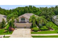 Beautiful two story home with mature landscaping, palm trees, and large driveway at 15407 Azra Dr, Odessa, FL 33556