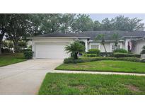 Single-Gathering home with a two-car garage and lush lawn at 10406 Mulligan Ct, Tampa, FL 33647