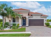 View 13107 Green Violet Dr Riverview FL