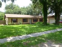 Ranch-style brick home with a large yard and driveway at 803 Bills Cir, Brandon, FL 33511