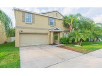 View 1508 Redmond Brook Ln Ruskin FL