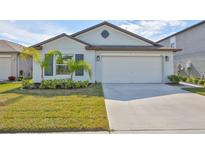 One-story home with attached garage, landscaping, and palm trees at 9316 Channing Hill Dr, Ruskin, FL 33573