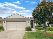 Tan house exterior with a two-car garage and landscaping at 16707 Magnolia Reserve Pl, Wimauma, FL 33598