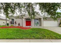 One-story home with red door and well-manicured lawn at 25954 Risen Star Dr, Wesley Chapel, FL 33544