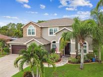 View 12927 Castlemaine Dr Tampa FL