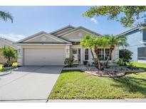 House exterior with palm trees and landscaping at 11314 Misty Isle Ln, Riverview, FL 33579