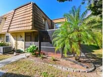 Charming home featuring a well-maintained front yard with lush landscaping and a screened porch at 12703 Tall Pine Dr, Tampa, FL 33625