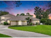 View 11505 Heron Hills Ln Riverview FL