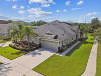 View 20610 Amanda Oak Ct Land O Lakes FL