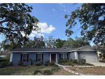 Charming single-story home with mature trees, lovely landscaping, and a welcoming walkway at 6924 Greenhill Pl, Tampa, FL 33617