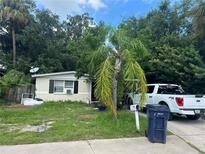 One-story home with mature landscaping and a large yard at 1917 W Saint Joseph St, Tampa, FL 33607